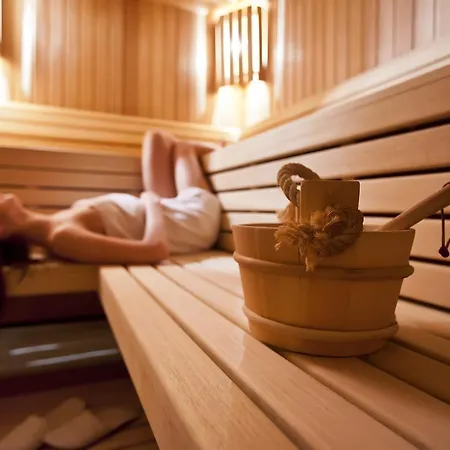 Smile Pieniny Hotel 3*