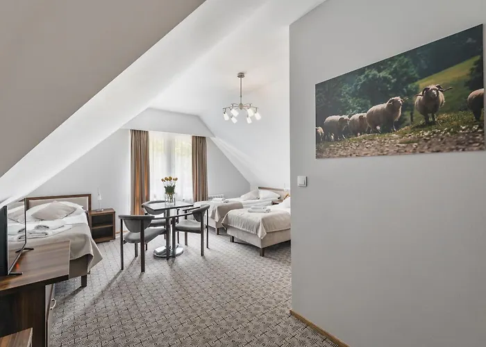 Smile Pieniny Hotel 3*